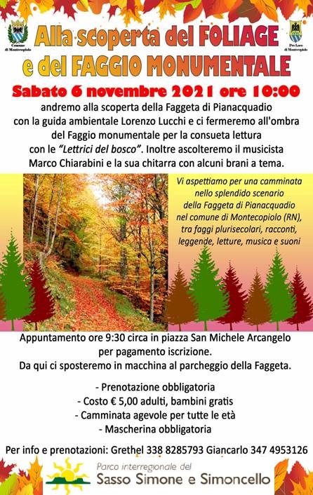 descrizione immagine